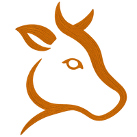 Vache